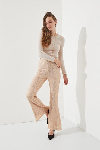 Sparkly High Waisted Sequin Pants from Flare Pants collection you can buy now from Fashion And Icon online shop